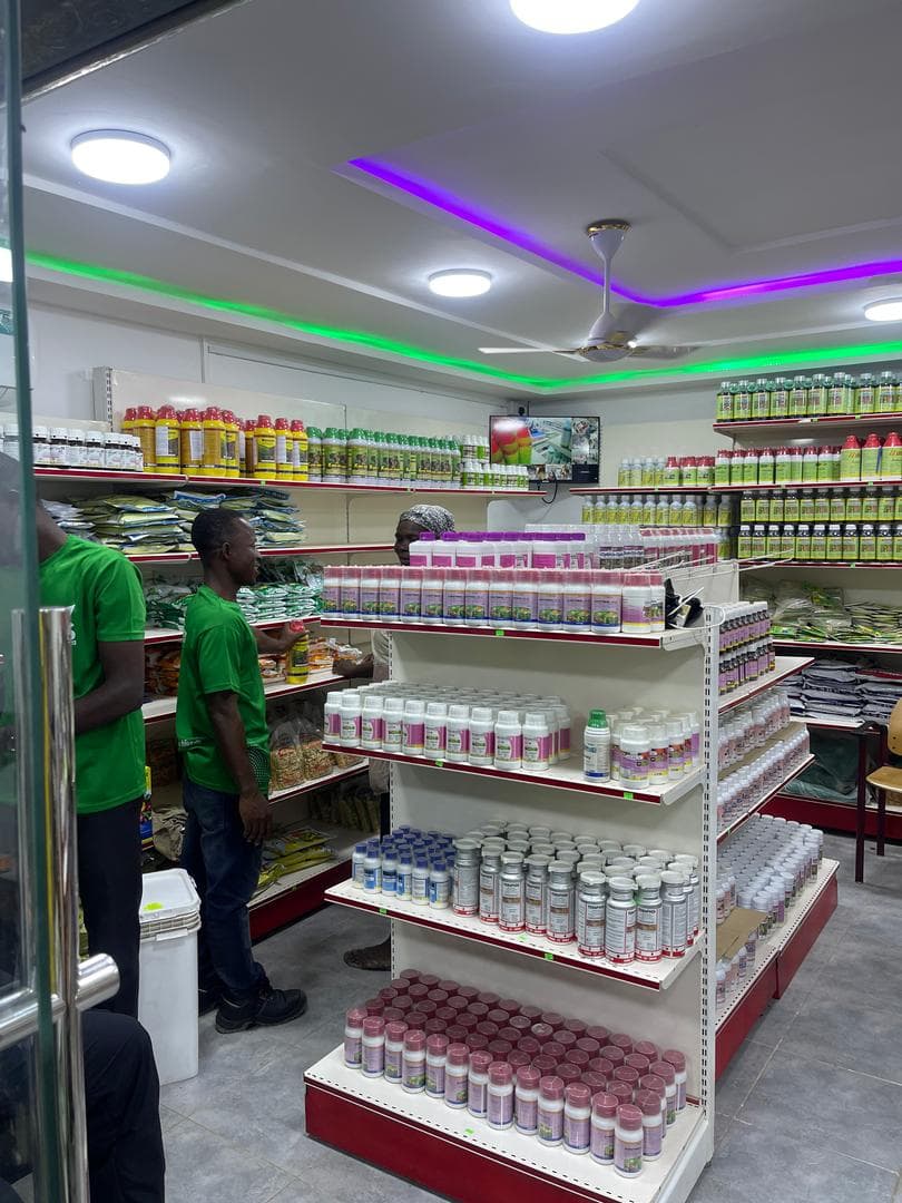 Leadership and values workshop